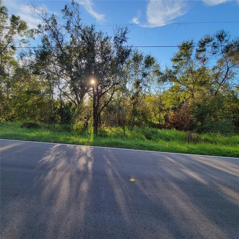 Winter Haven, Polk County, FL Undeveloped Land, Homesites for sale