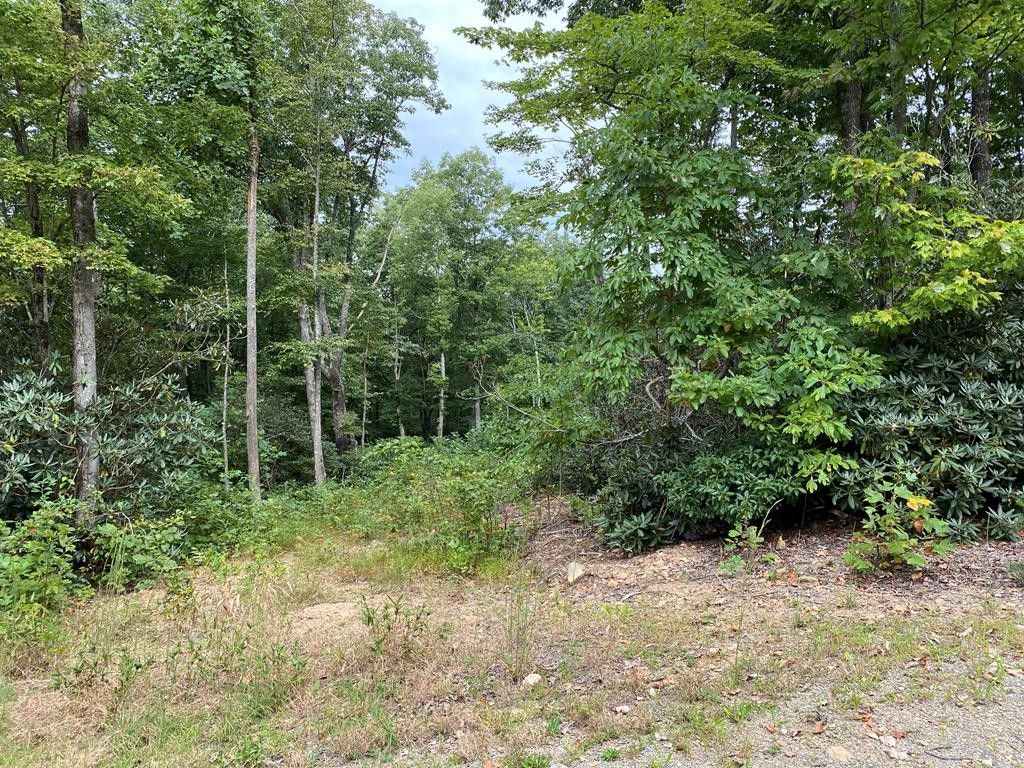 Fancy Gap, Carroll County, VA Homesites for sale Property ID 415104704 LandWatch