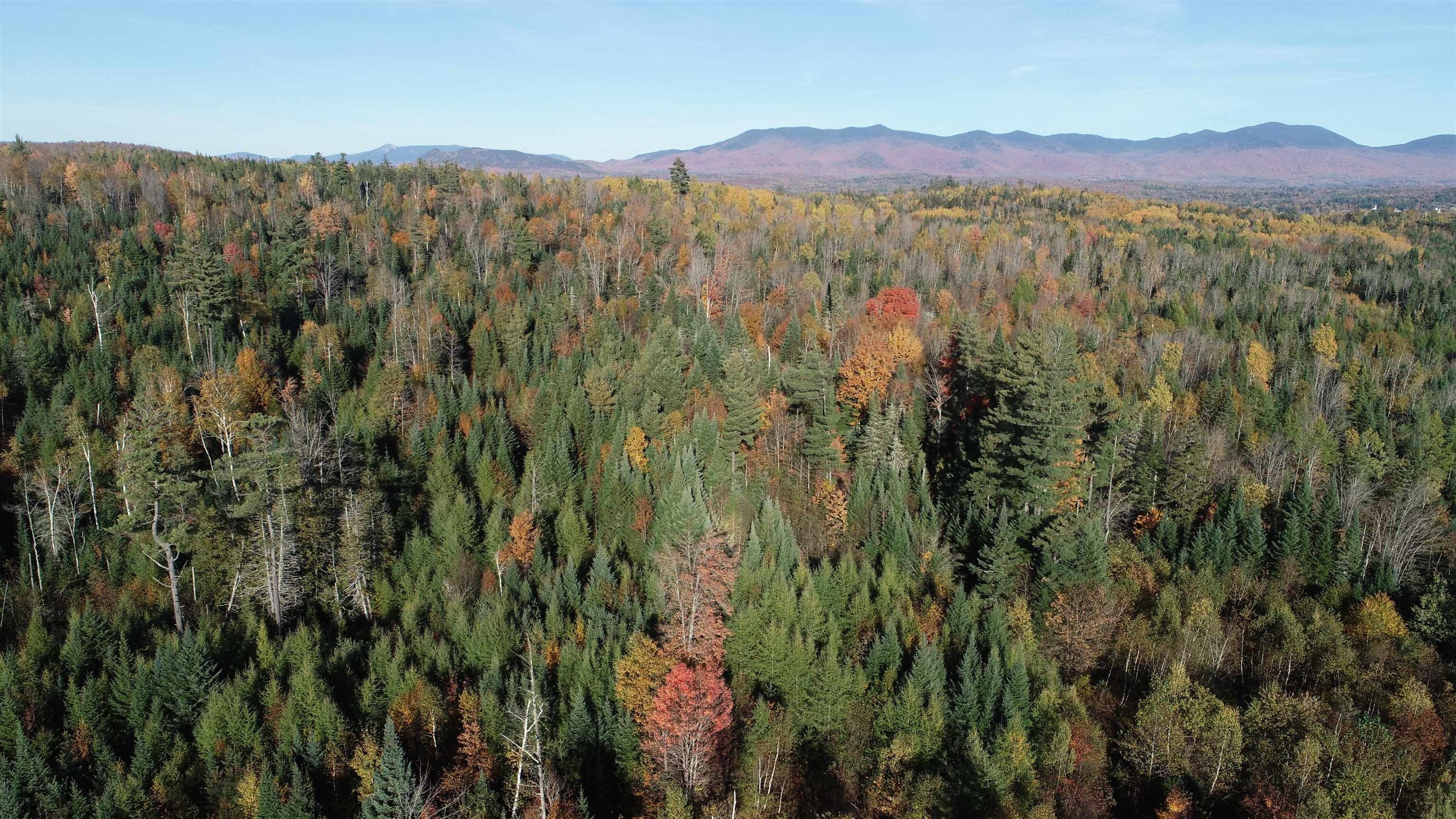 Guildhall, Essex County, VT Undeveloped Land for sale Property ID