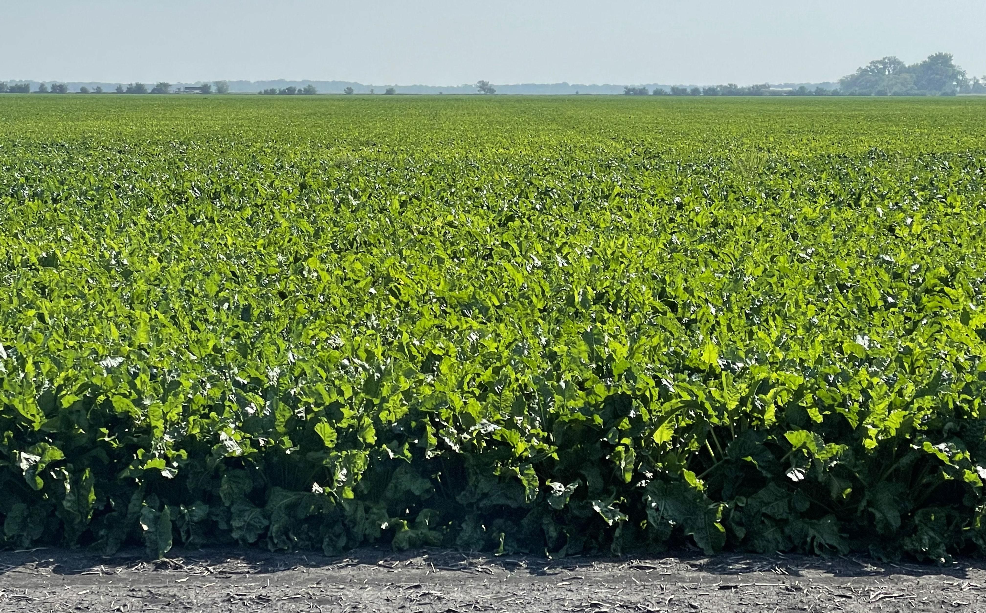 Pembina, Pembina County, ND Farms and Ranches for sale Property ID