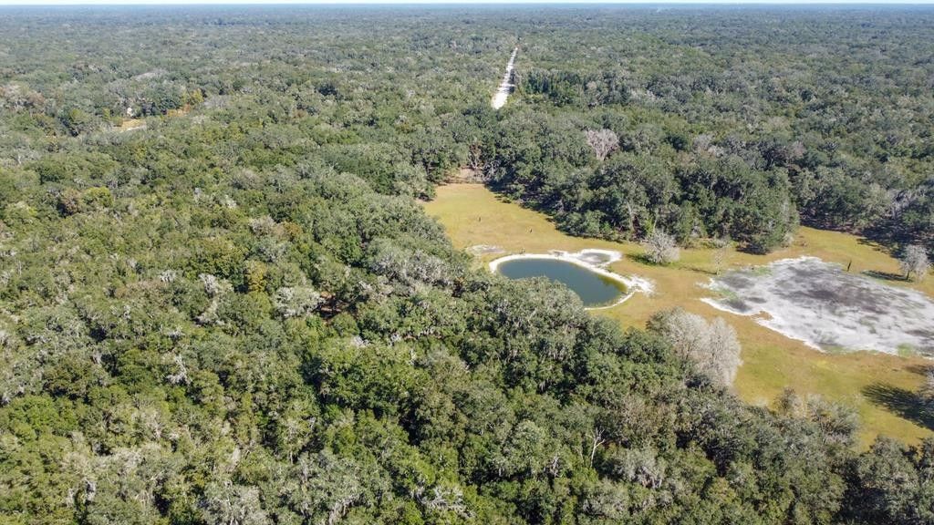 Old Town, Dixie County, FL Undeveloped Land for sale Property ID