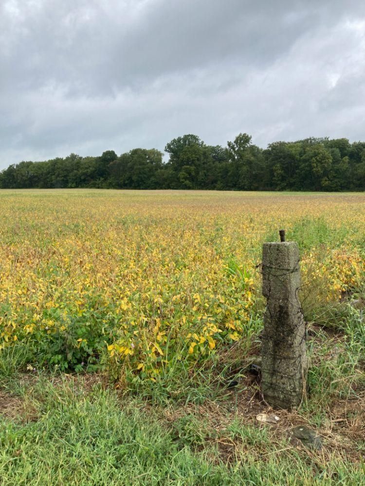 Elwood, Madison County, IN Farms and Ranches, Hunting Property for sale