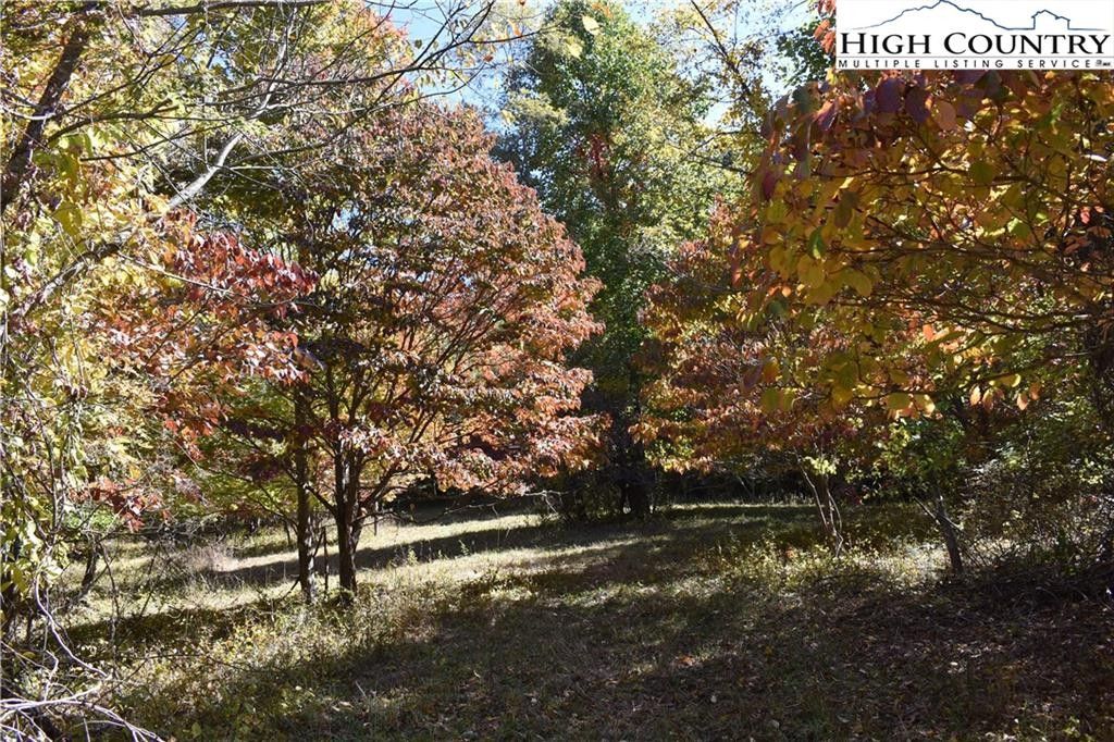 Sparta, Alleghany County, NC Undeveloped Land for sale Property ID