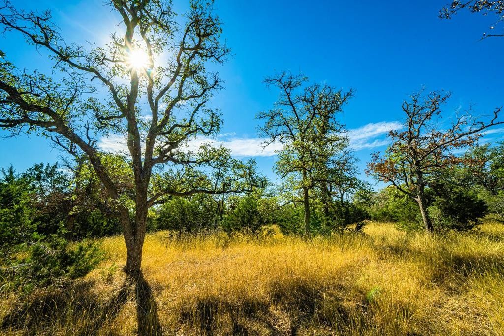 Kerrville, Kerr County, TX Farms and Ranches, Lakefront Property