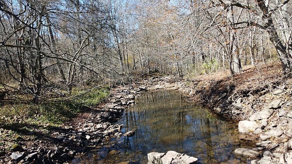 Slatyfork, Pocahontas County, WV Farms and Ranches, Homesites for sale