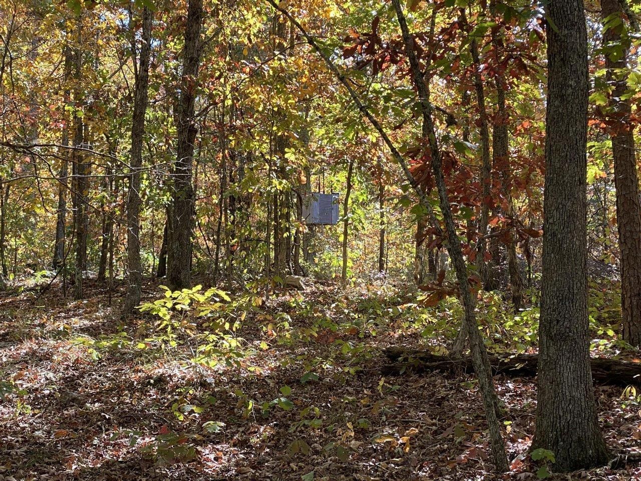Van Buren, Carter County, MO Recreational Property, Timberland Property