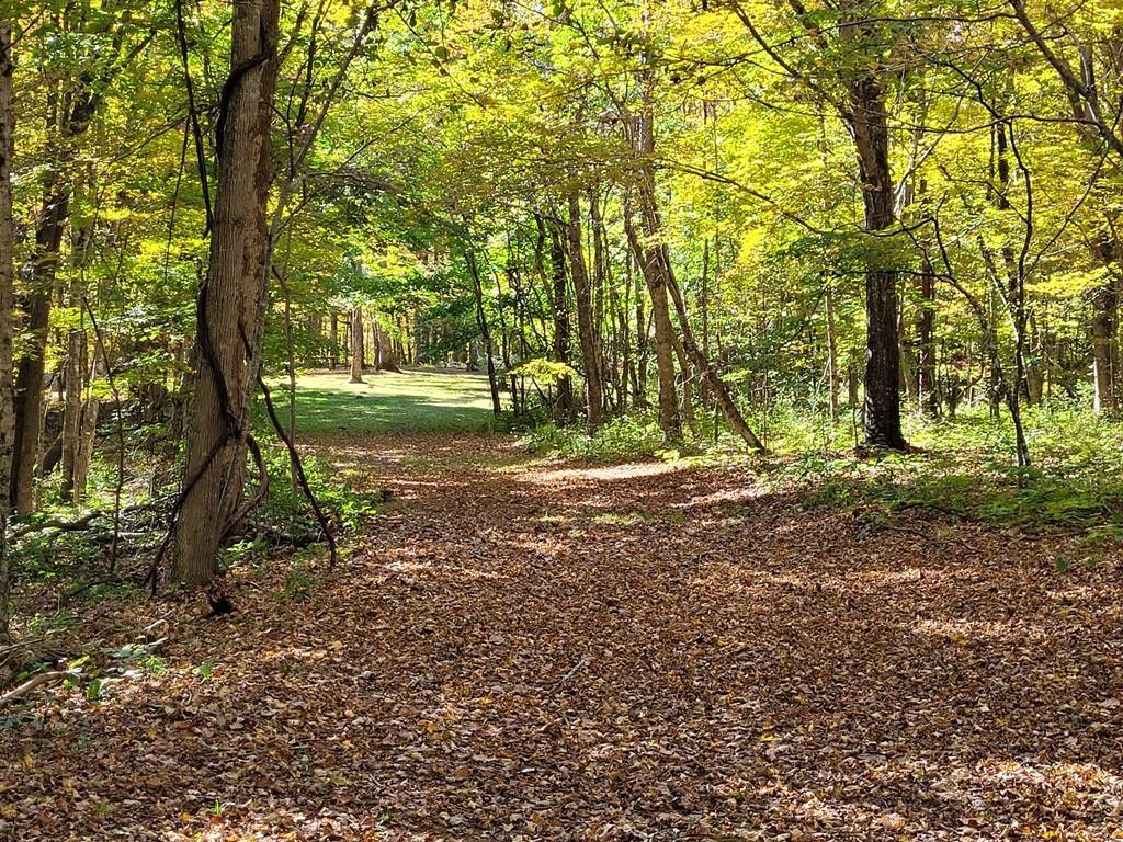 Hinton, Summers County, WV Farms and Ranches for sale Property ID