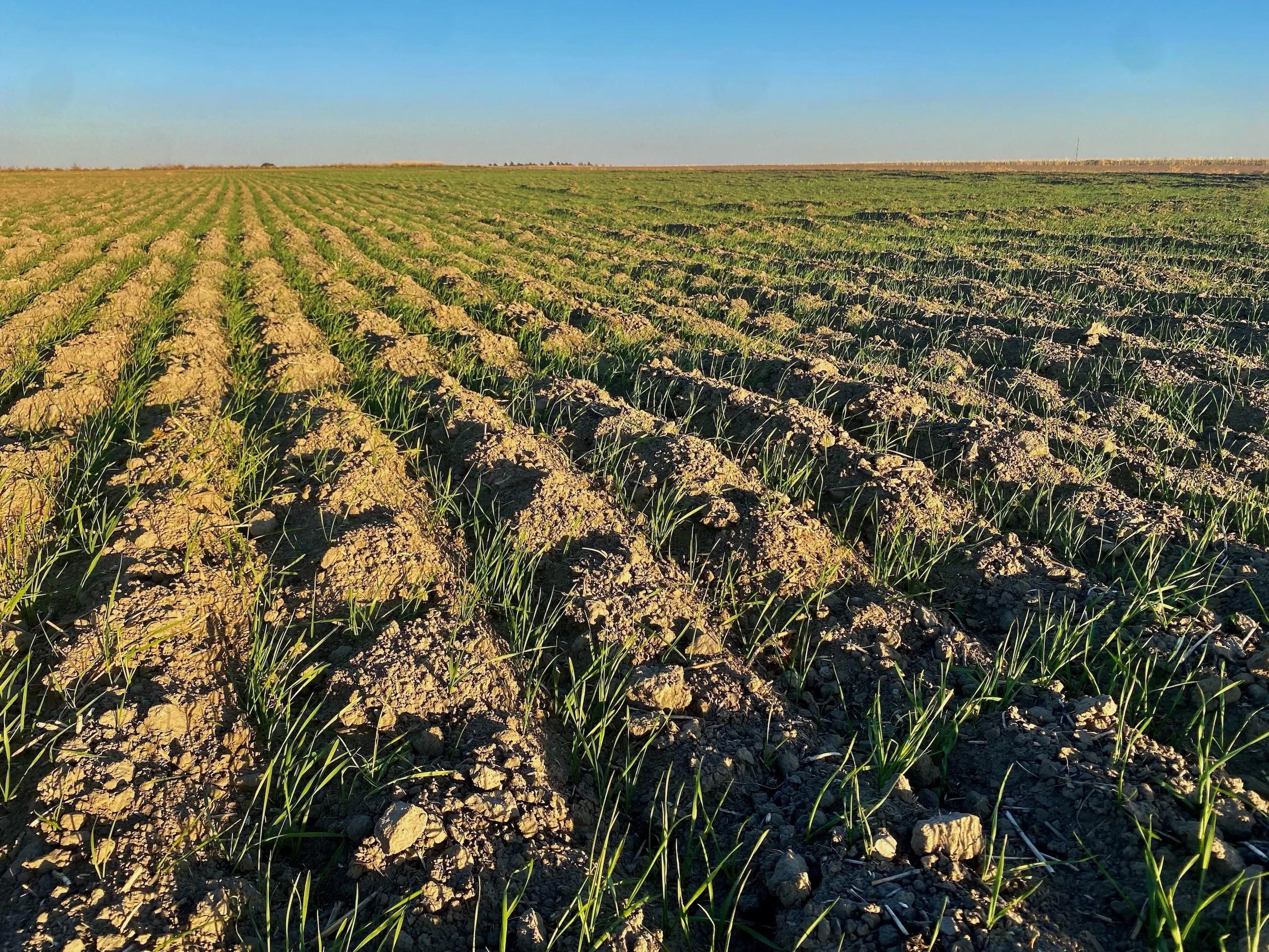 Sterling, Logan County, CO Farms and Ranches, Recreational Property