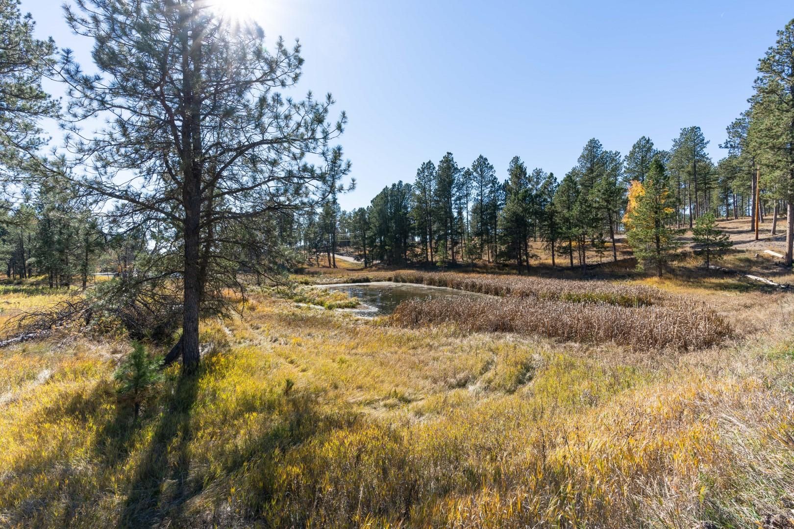 Custer, Custer County, SD Recreational Property, Horse Property for