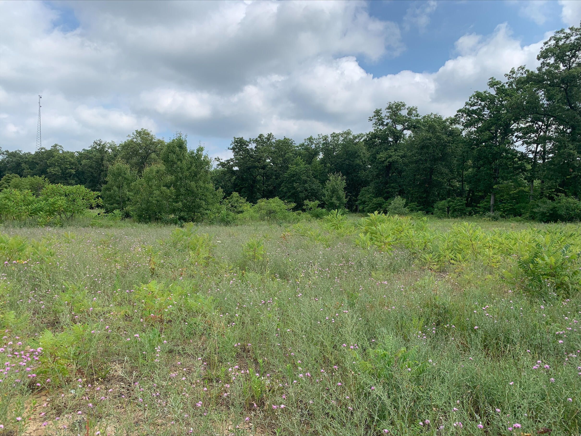 Fennville, Allegan County, MI Undeveloped Land for sale Property ID