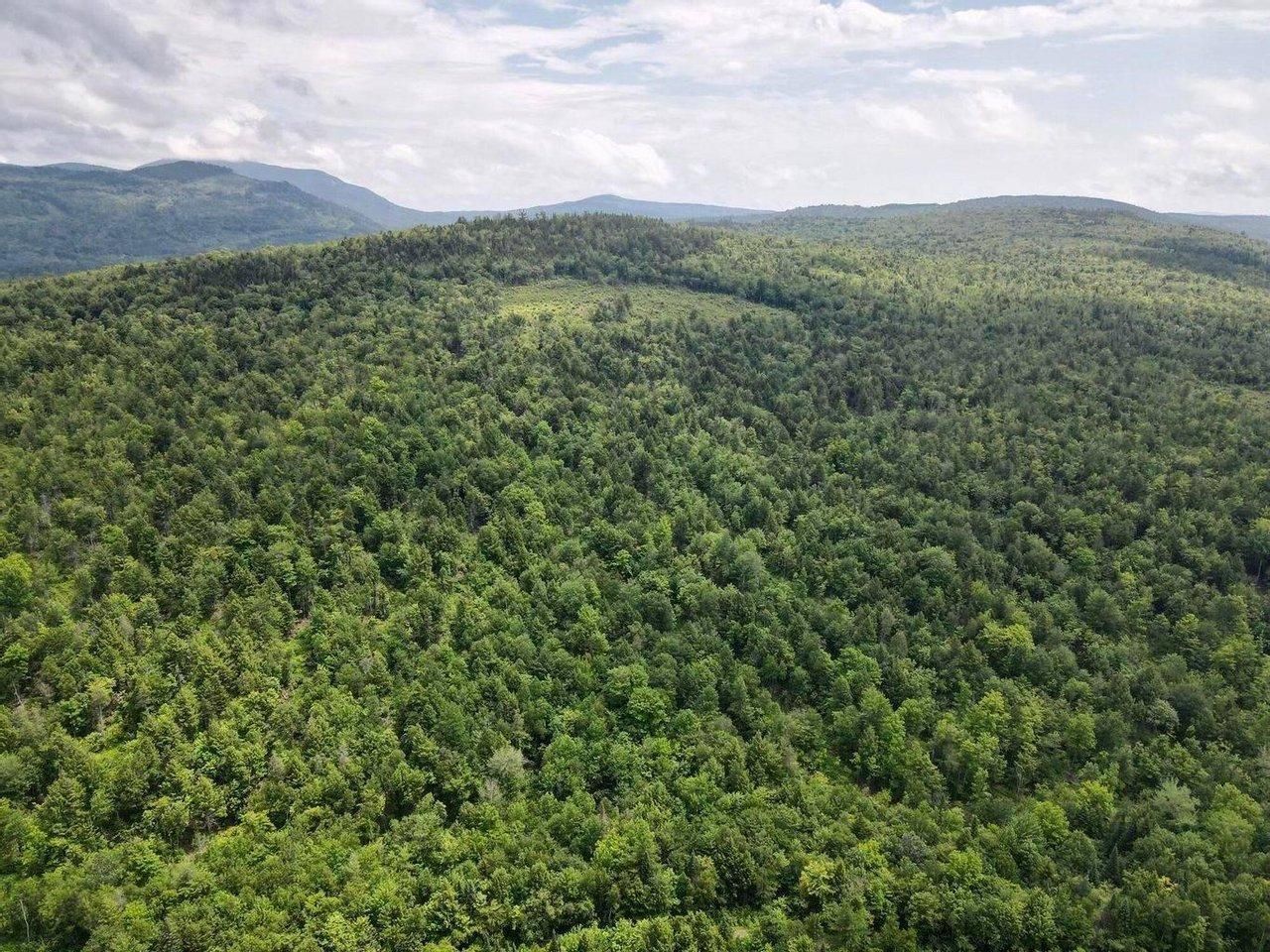 Caratunk, Somerset County, ME Recreational Property, Timberland