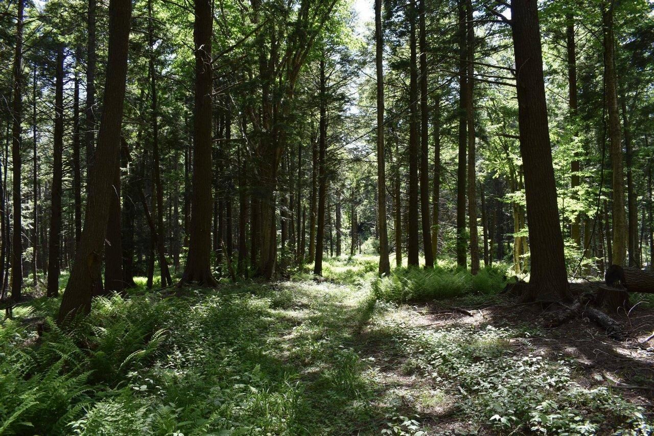 Fredonia, Chautauqua County, NY Recreational Property, Hunting Property