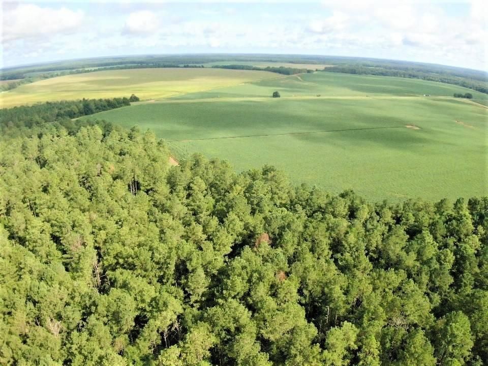 Cuthbert, Randolph County, GA Farms and Ranches, Recreational Property