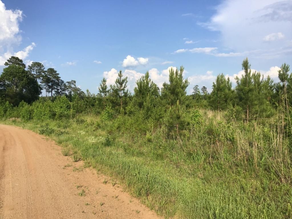 Mount Gilead, Richmond County, NC Recreational Property for sale