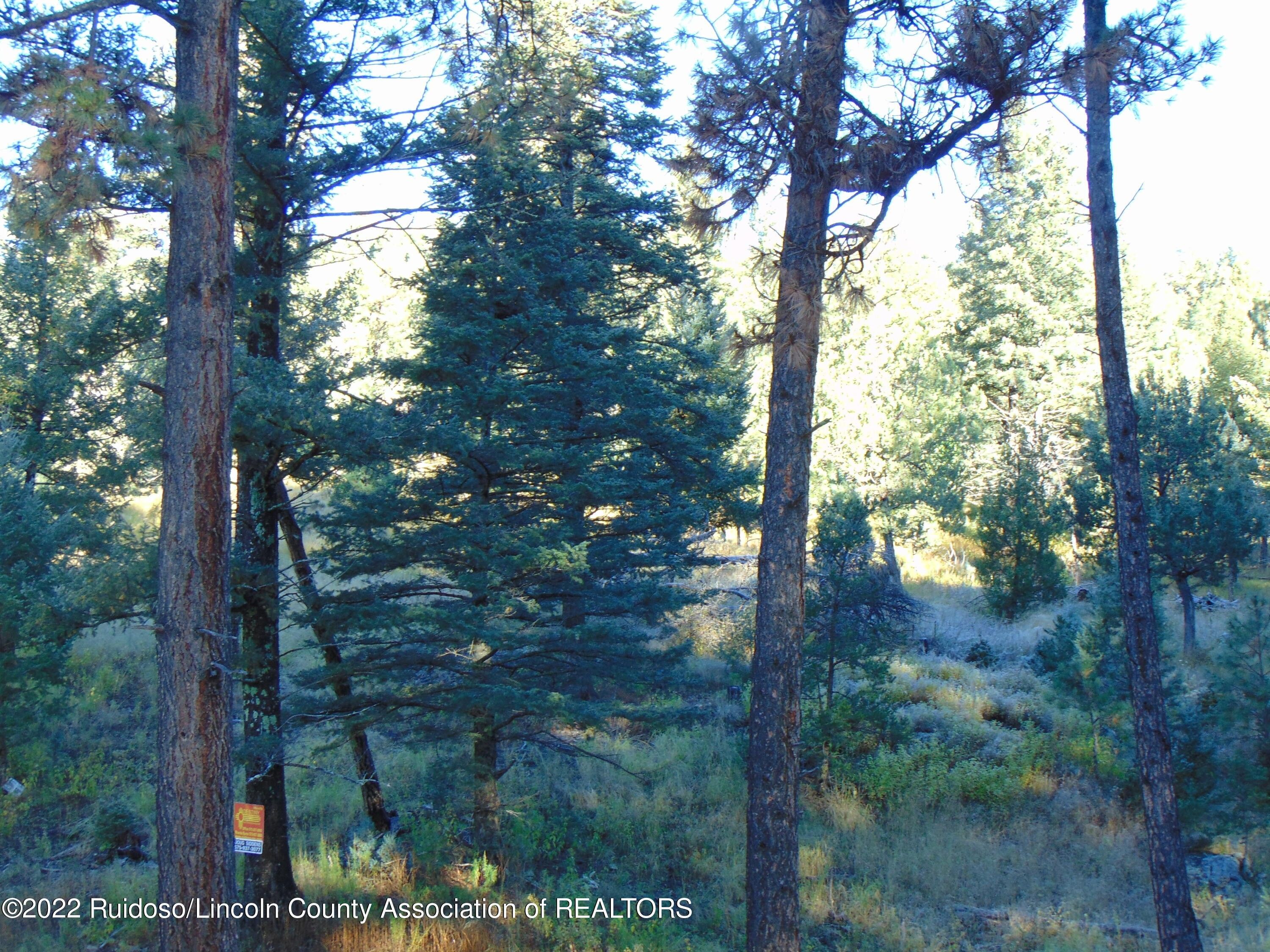 Ruidoso, Lincoln County, NM Farms and Ranches, Homesites for sale