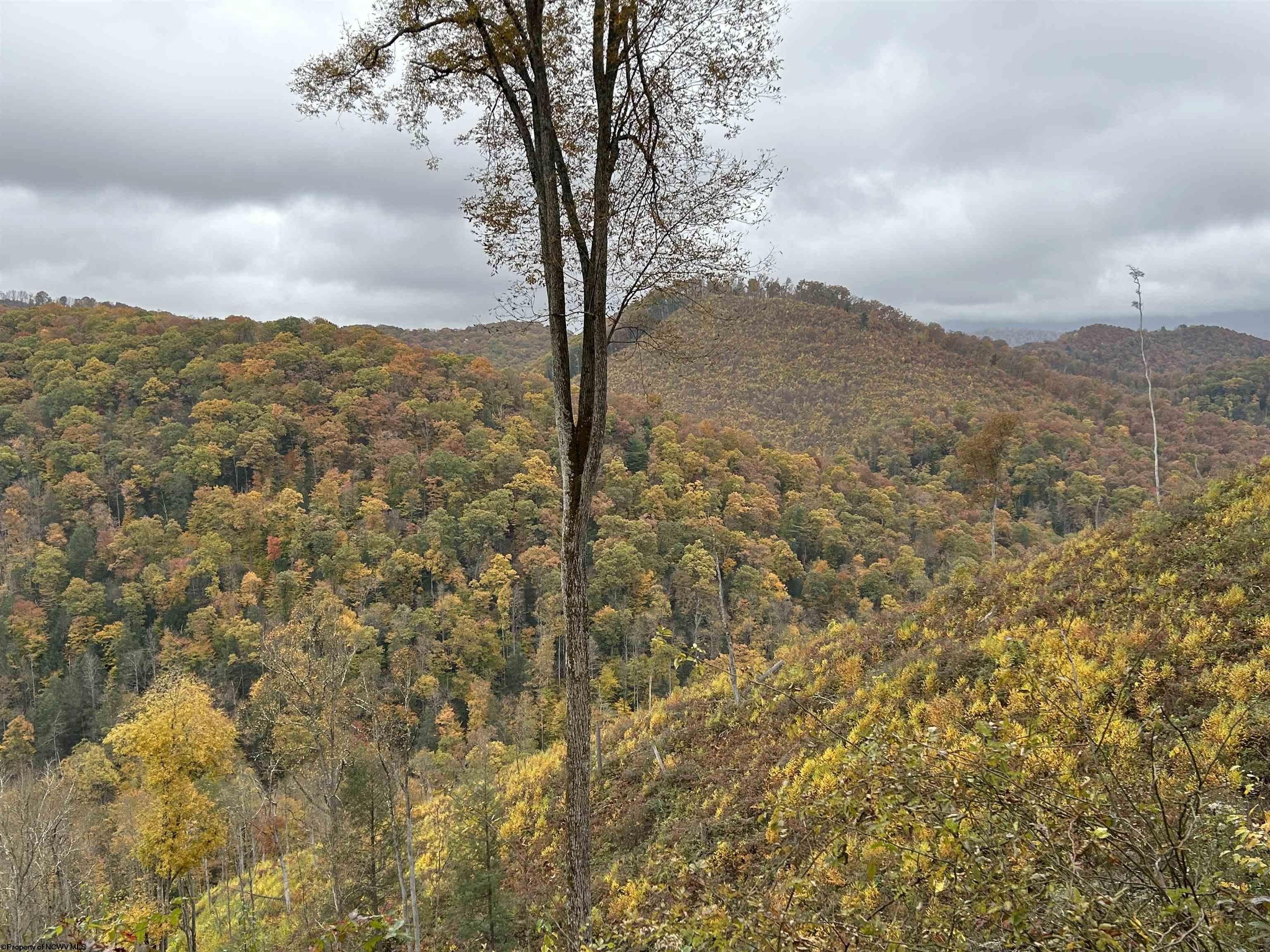 Parsons, Tucker County, WV Farms and Ranches for sale Property ID