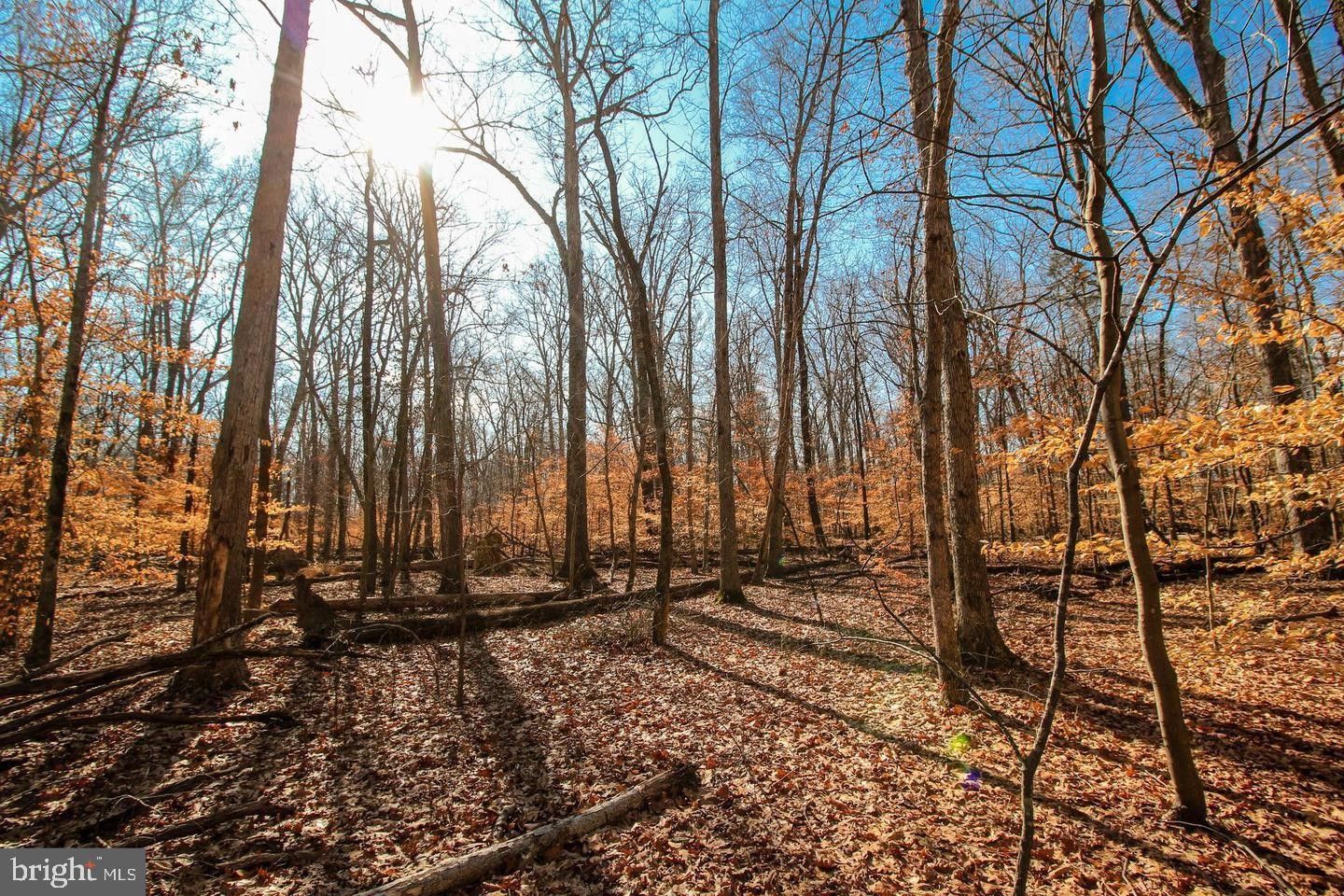 Clifton, Fairfax County, VA Farms and Ranches for sale Property ID