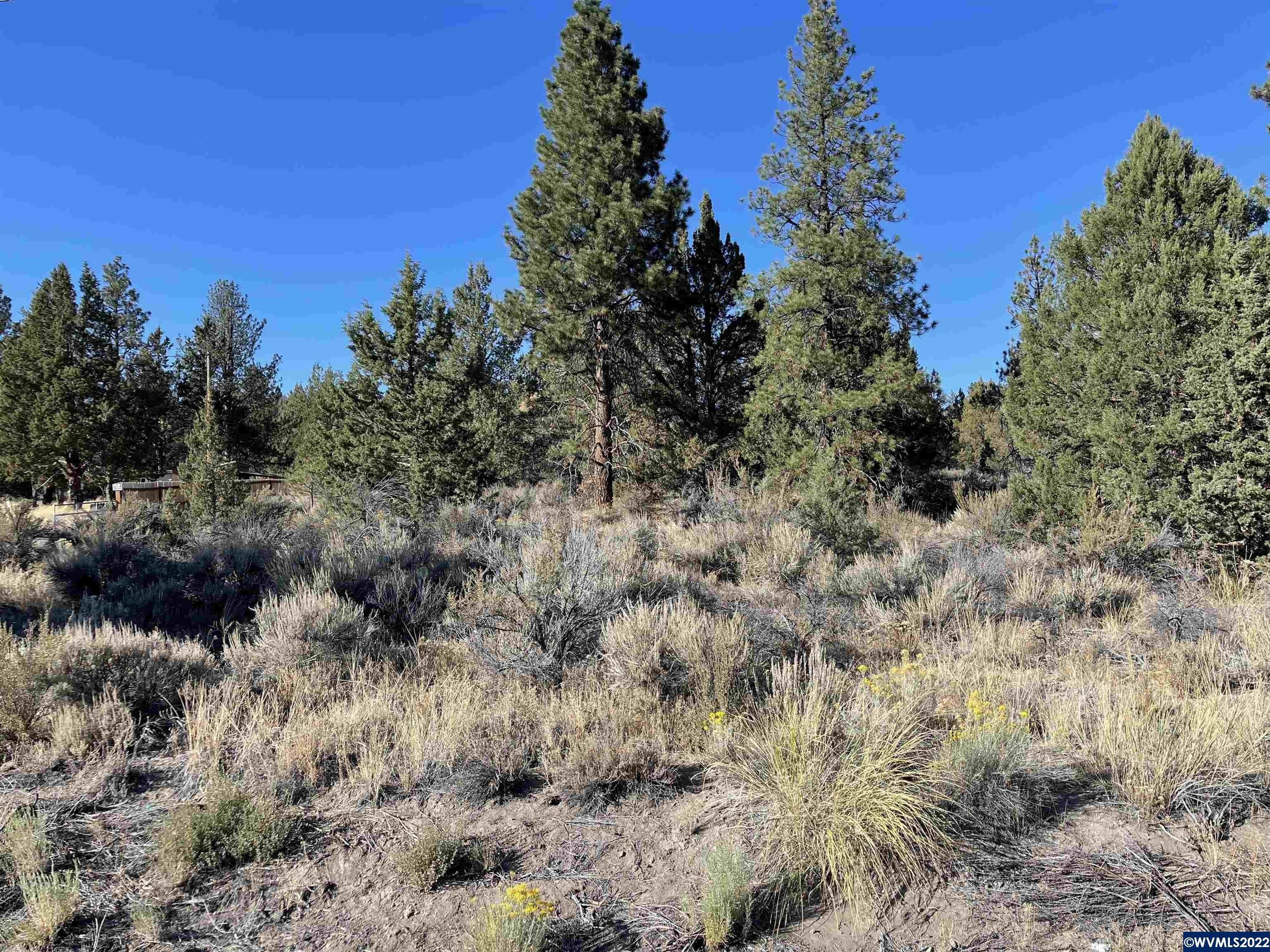 Sprague River, Klamath County, OR Farms and Ranches, Homesites for sale