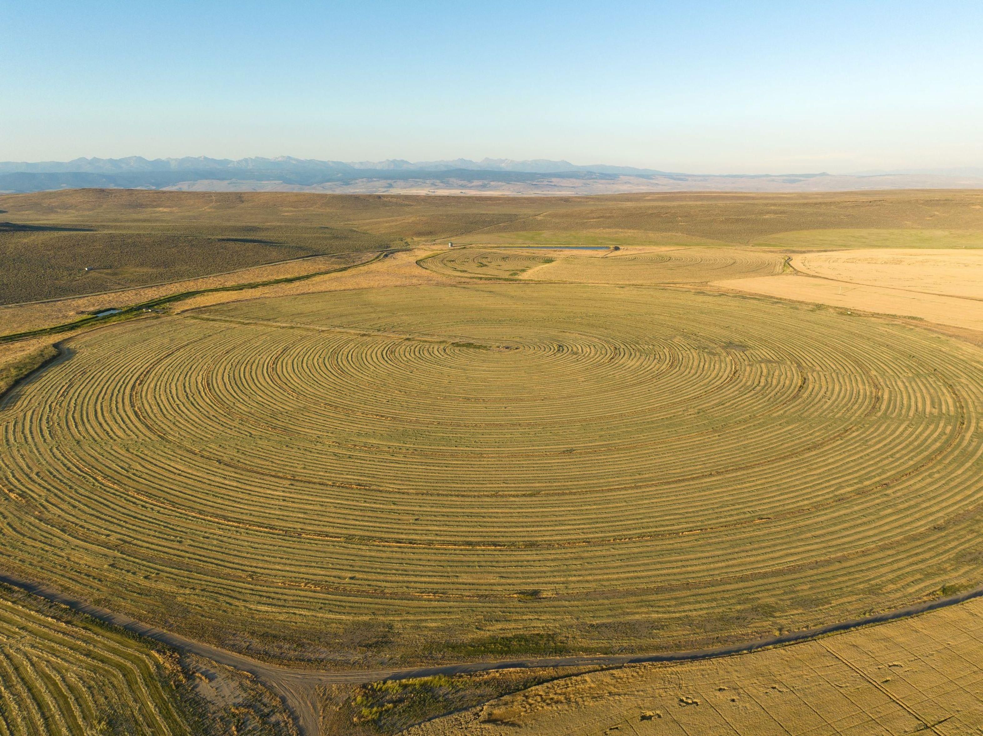 Baker City, Baker County, OR Farms and Ranches for auction Property ID