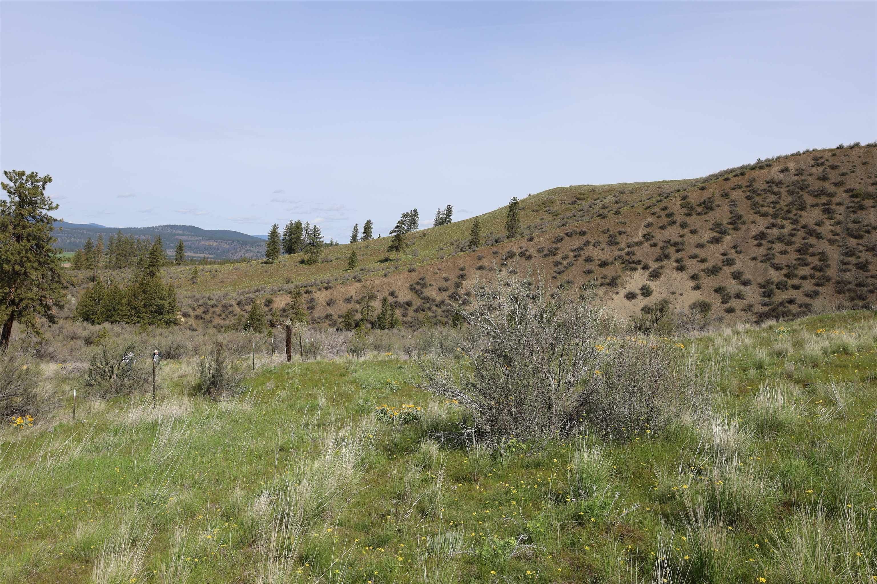 Reardan, Lincoln County, WA Undeveloped Land for sale Property ID