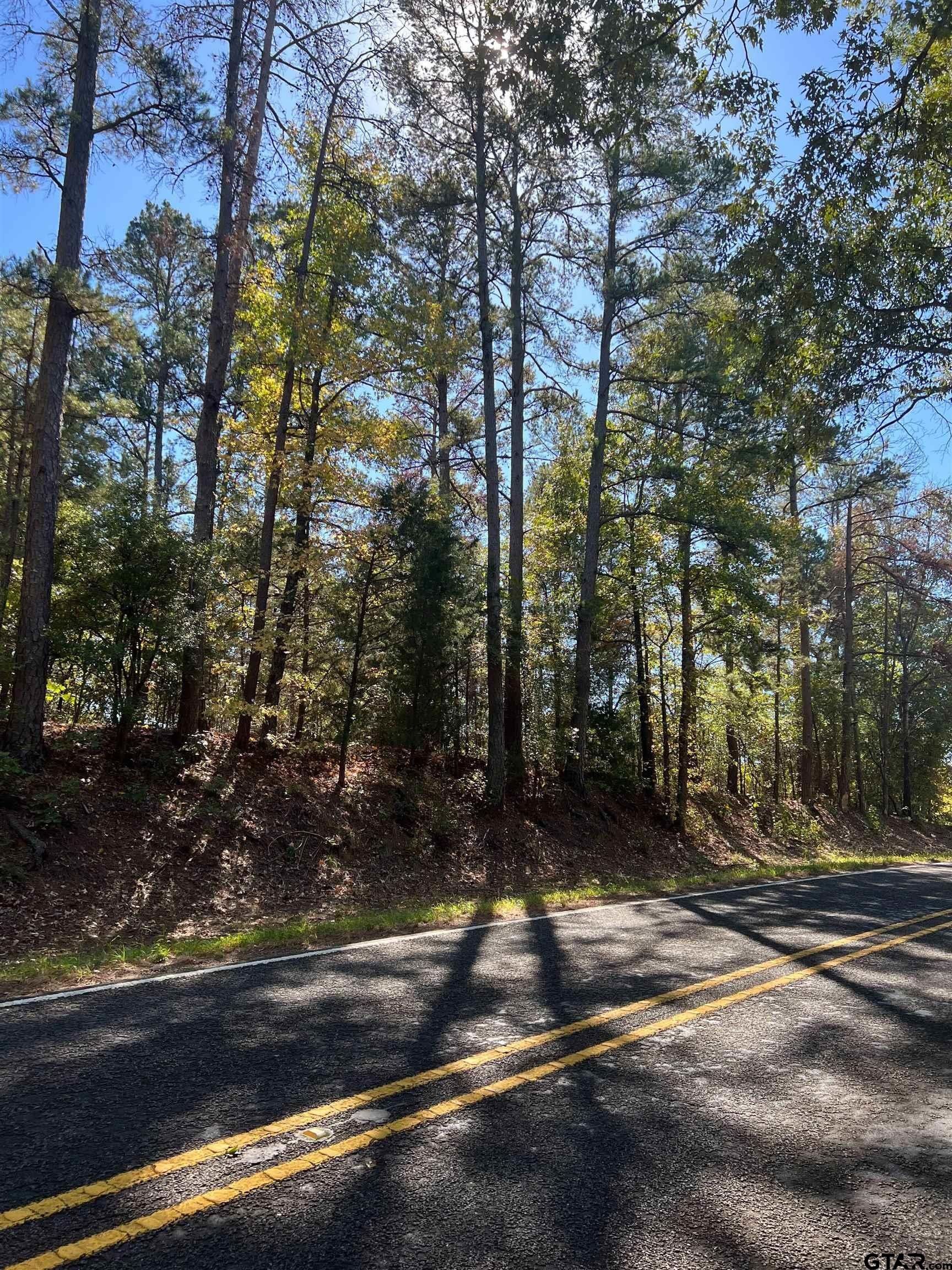 Mineola, Wood County, TX Undeveloped Land for sale Property ID