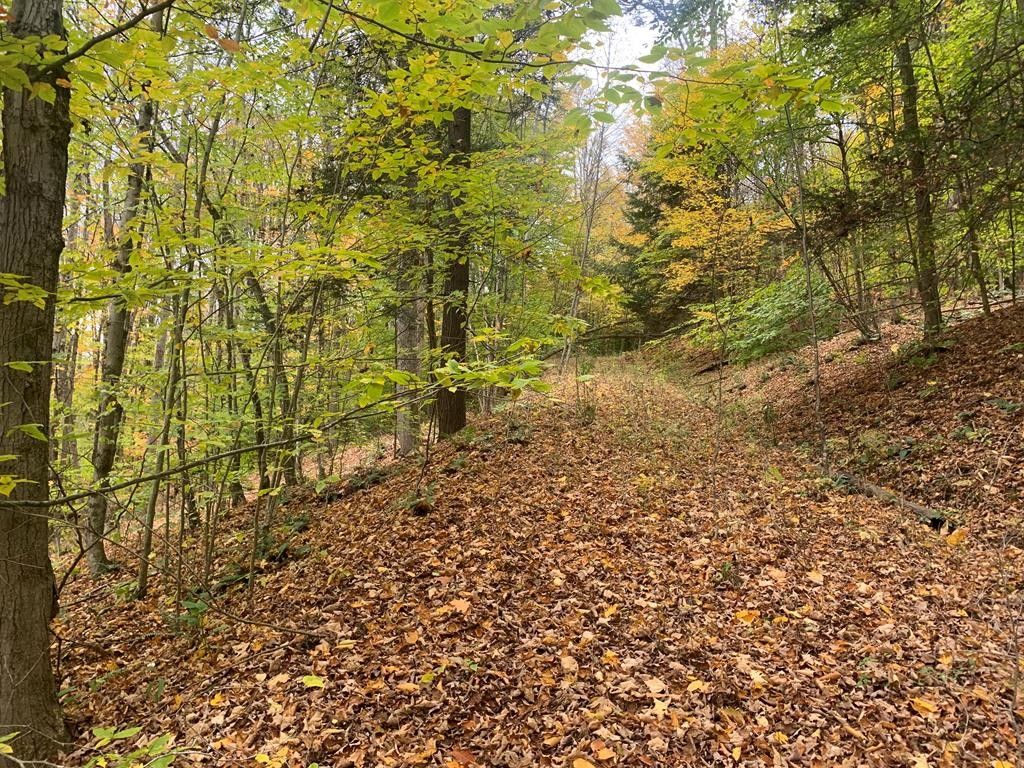 Van Etten, Chemung County, NY Undeveloped Land, Homesites for sale