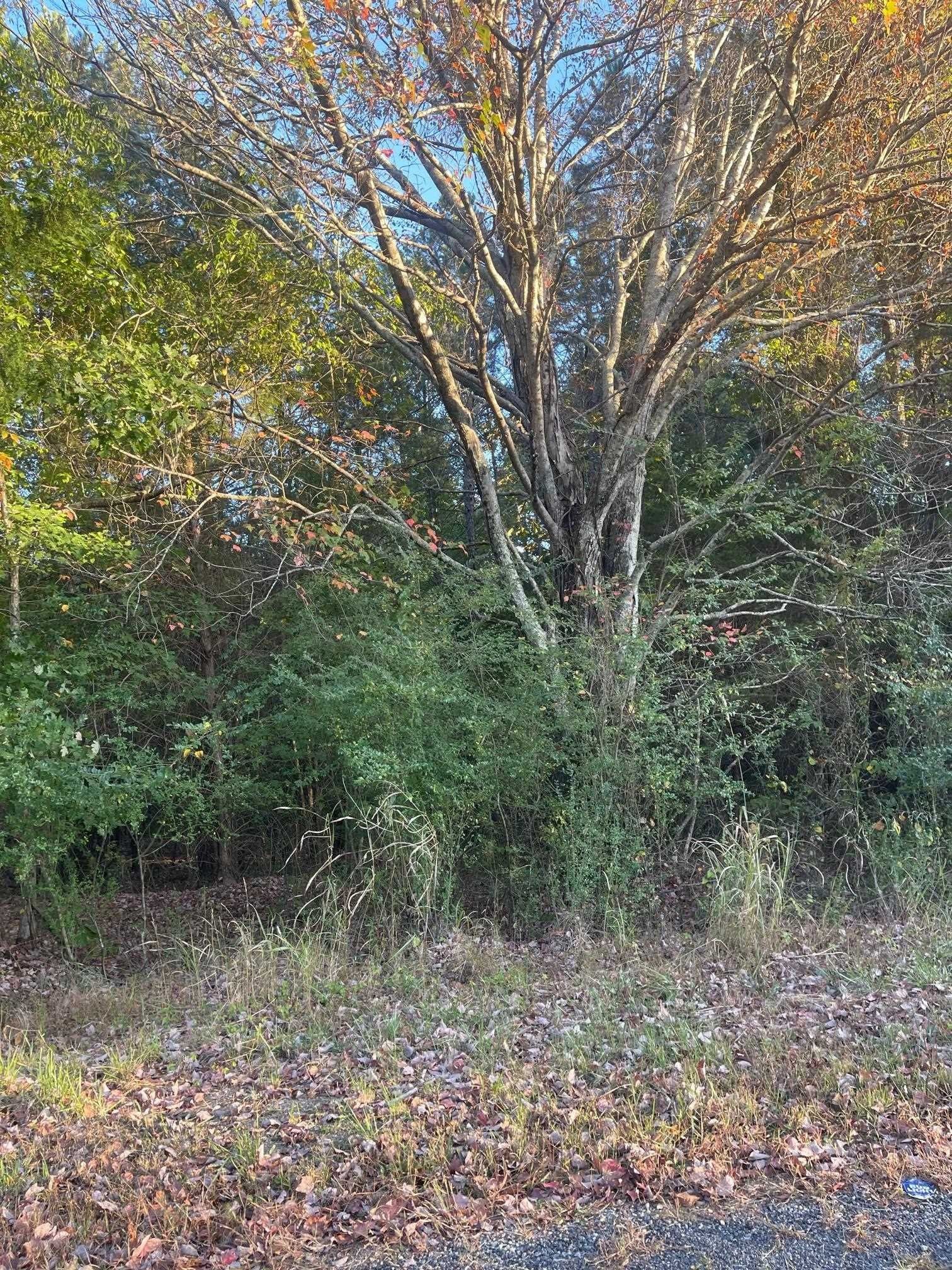 Savannah, Hardin County, TN Undeveloped Land for sale Property ID 415121376 LandWatch
