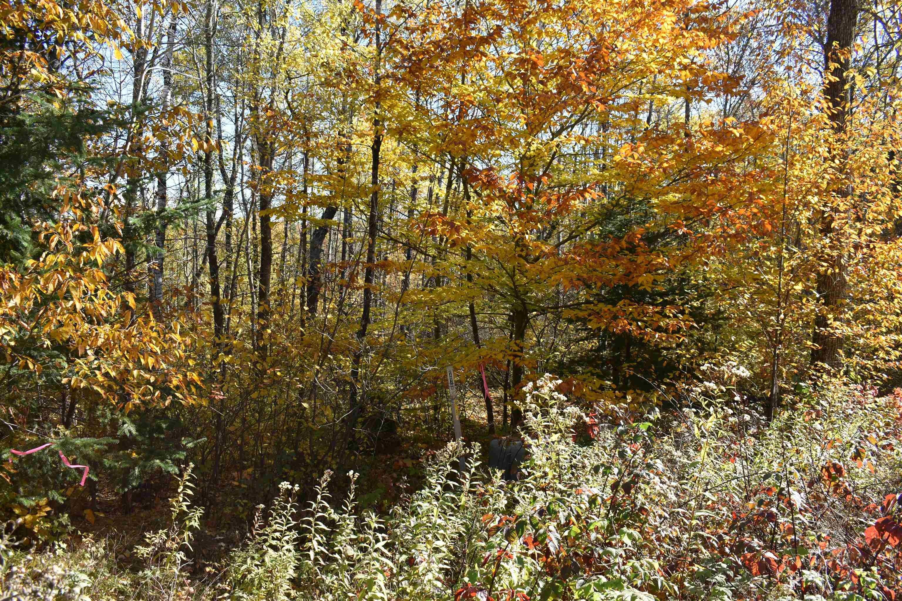Athelstane, County, WI Farms and Ranches, Lakefront Property