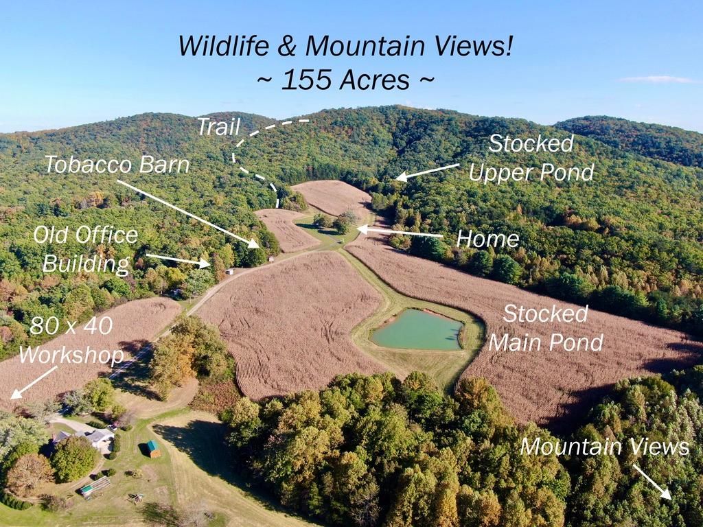 Mount Airy, Surry County, NC Farms and Ranches, Undeveloped Land, House