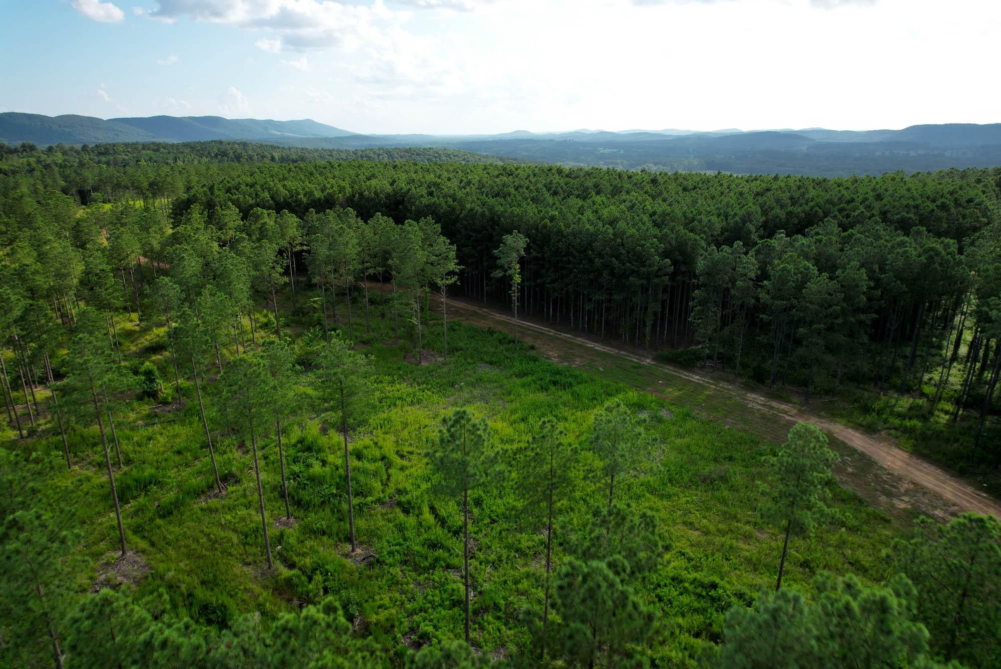 Lyerly, Chattooga County, GA Recreational Property, Hunting Property