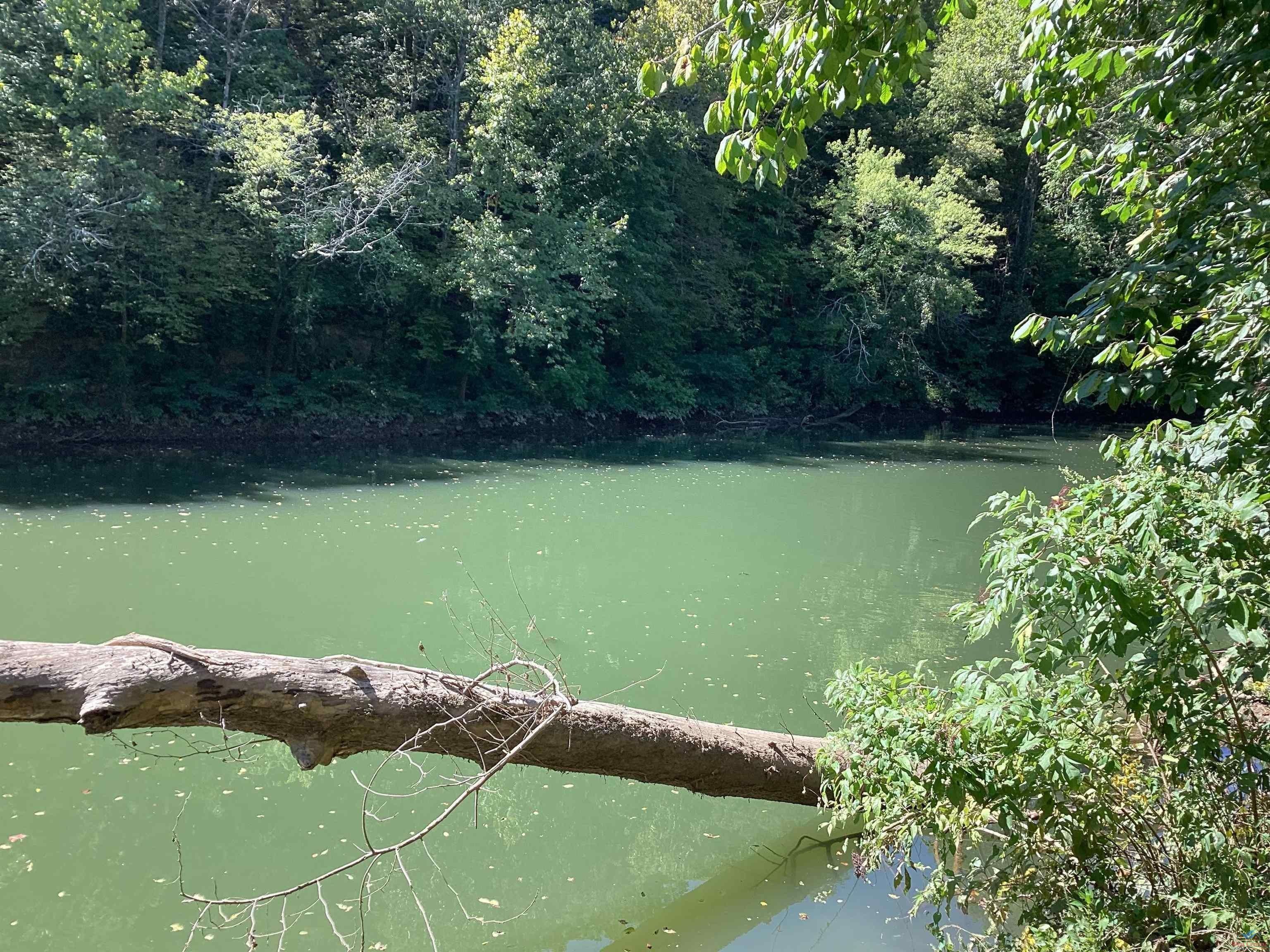 Bonne Terre, Saint Francois County, MO Undeveloped Land for sale Property ID 415125926 LandWatch