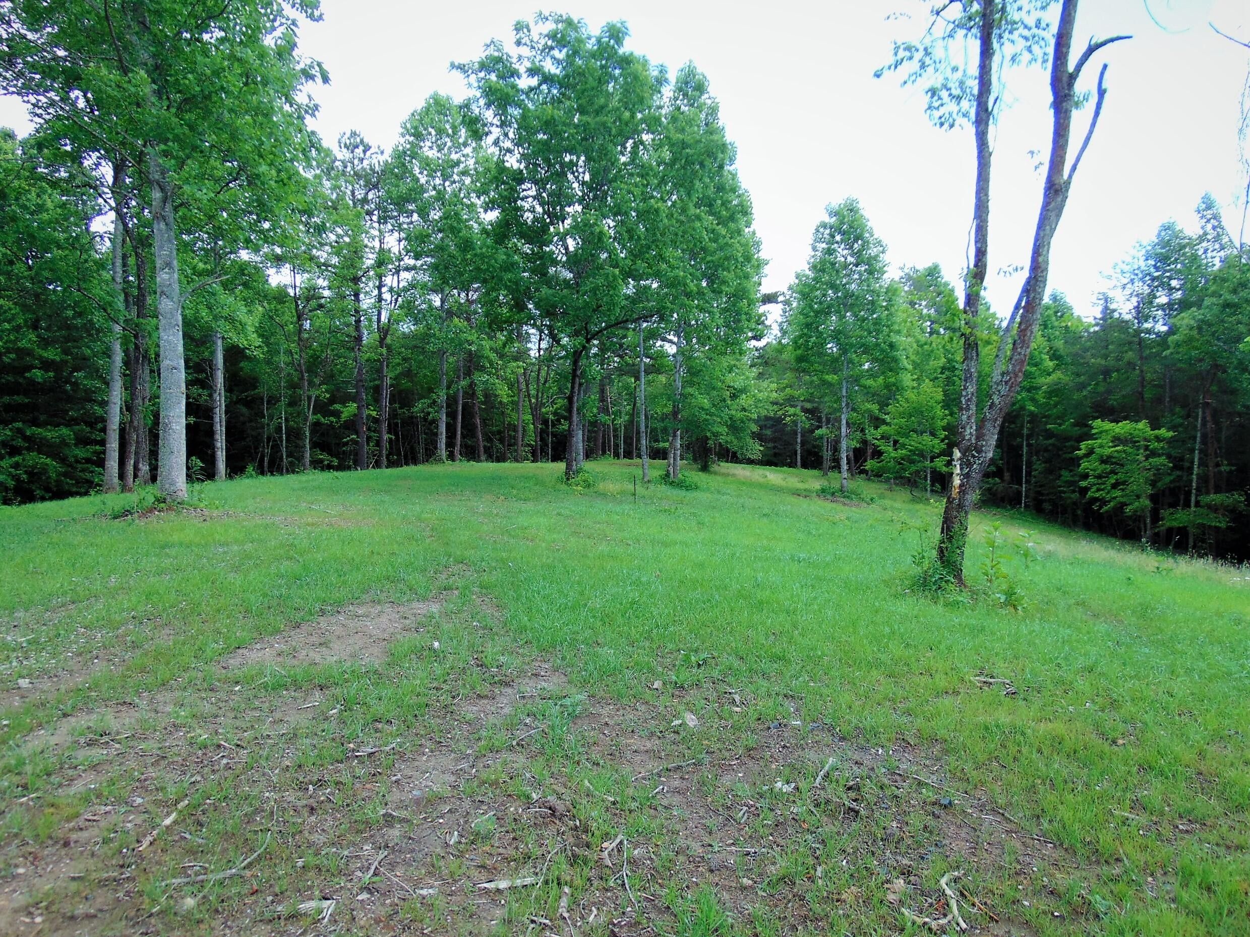 Whitley City, McCreary County, KY Farms and Ranches for sale Property