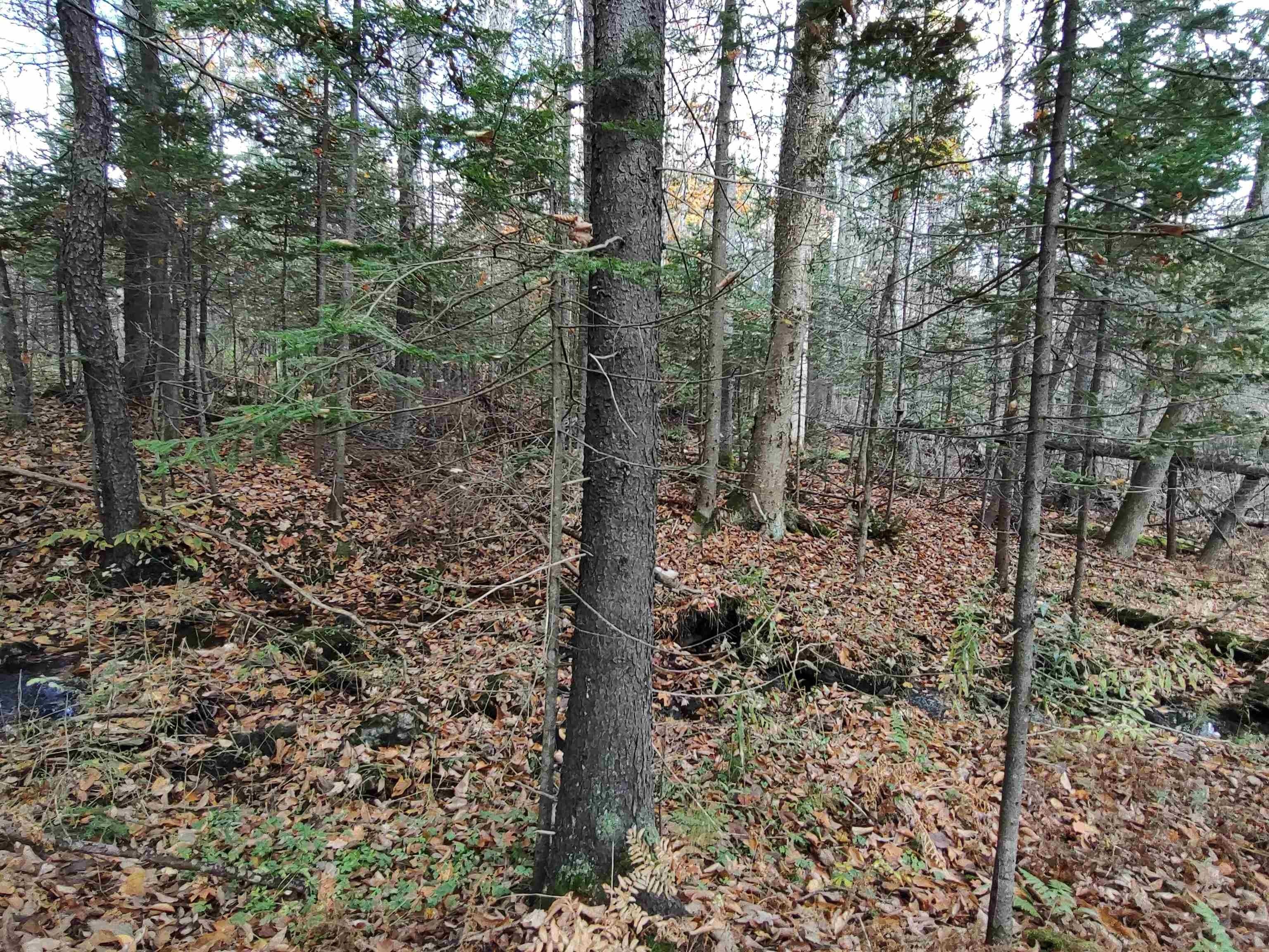 Graniteville, Washington County, VT Undeveloped Land, Homesites for