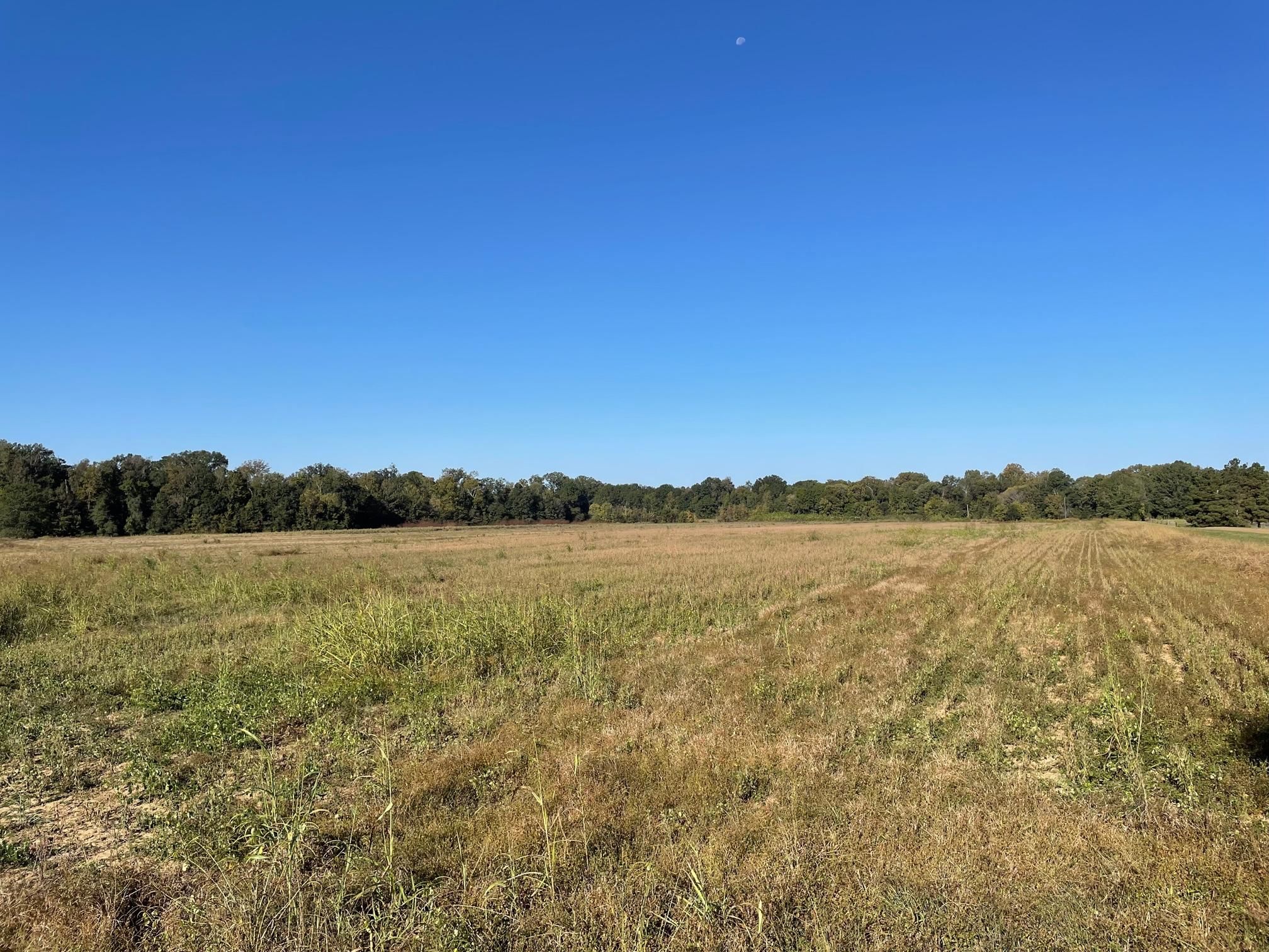 Utica, Hinds County, MS Recreational Property, Hunting Property for sale Property ID 415130038