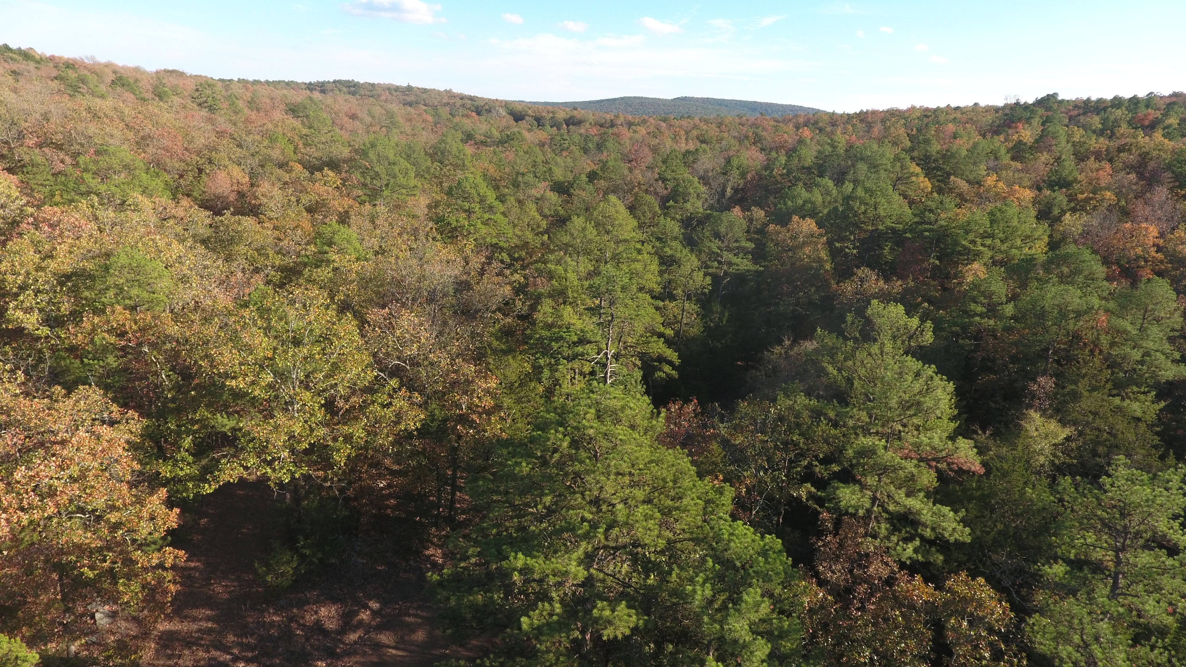 292 acres in Red Oak, OK, 74563 LandWatch