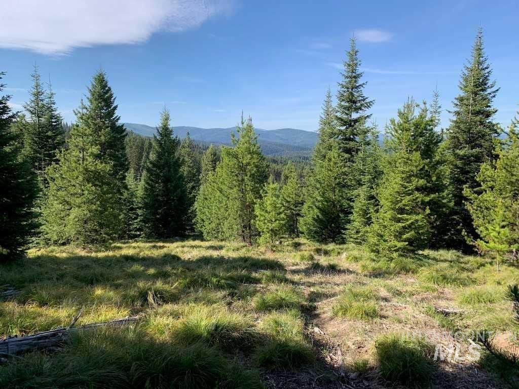 Elk City, Idaho County, ID Undeveloped Land for sale Property ID