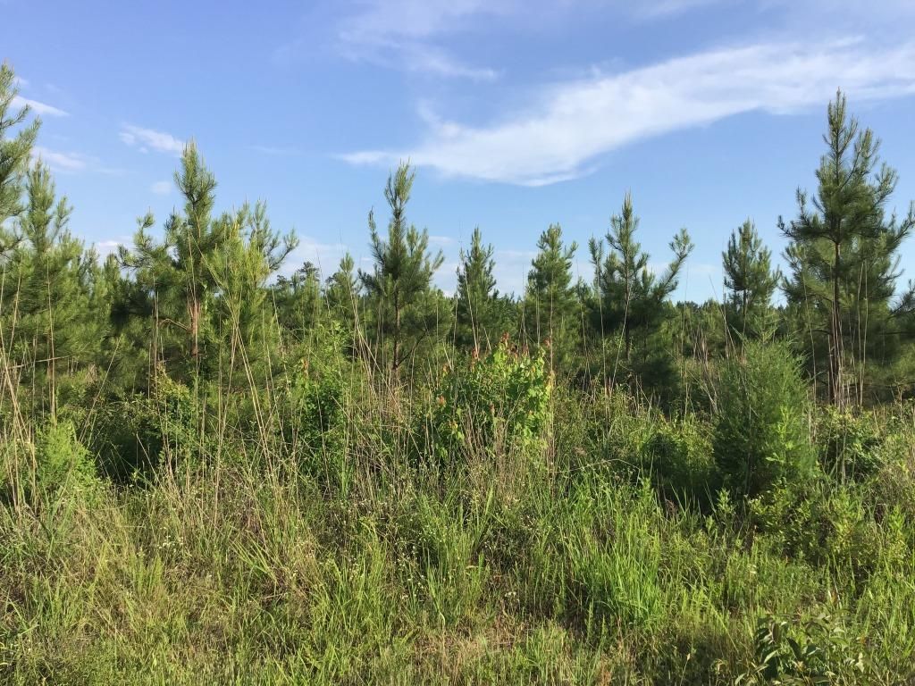 Mount Gilead, Richmond County, NC Recreational Property for sale