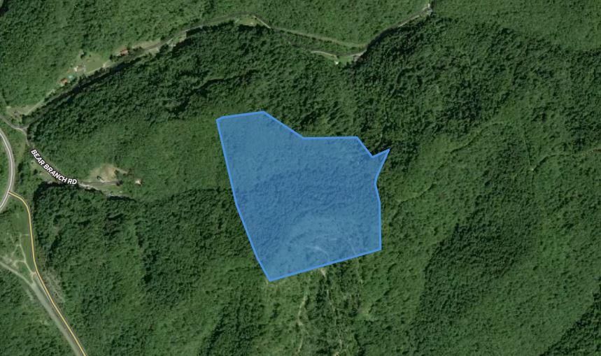 Crum, Wayne County, WV Recreational Property, Undeveloped Land for sale