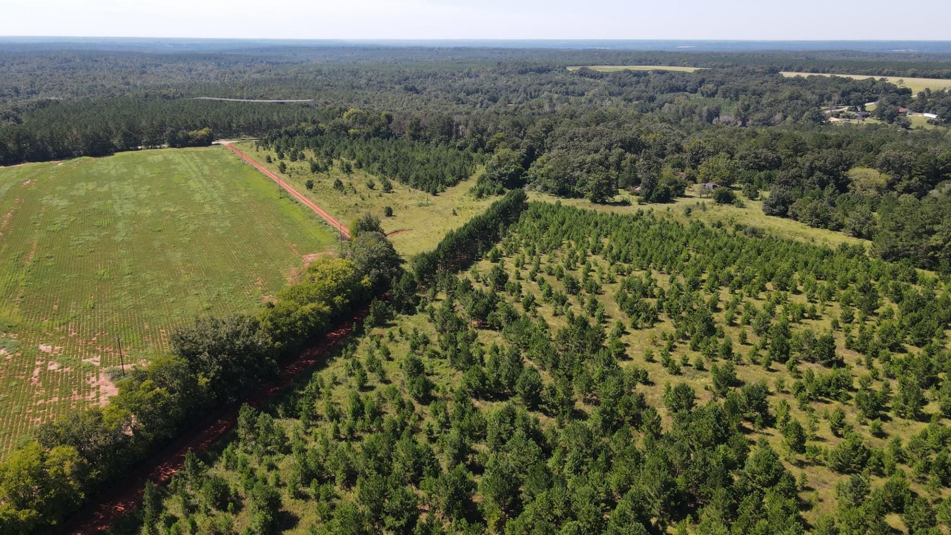 Fort Gaines, Clay County, GA Recreational Property, Timberland Property