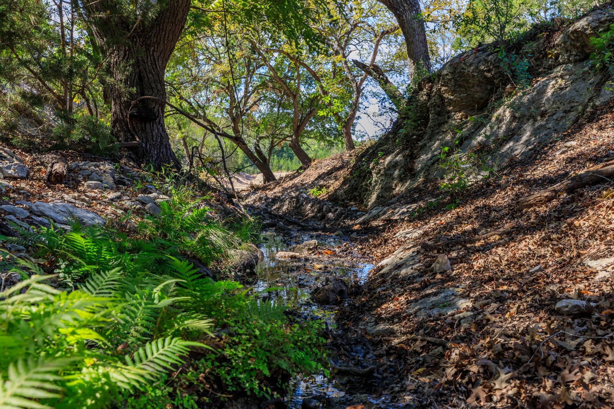 Kerrville, Kerr County, TX Farms and Ranches, Recreational Property, Hunting Property for sale