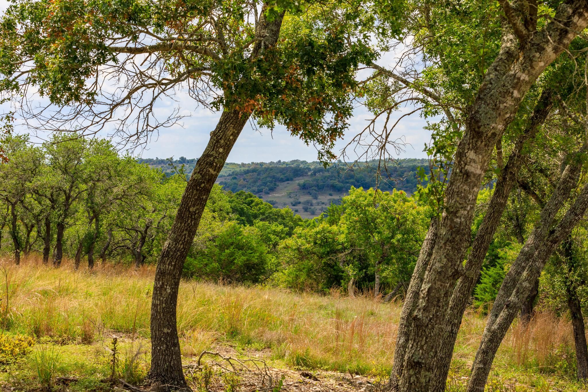 Blanco, Blanco County, TX for sale Property ID 415132355 LandWatch