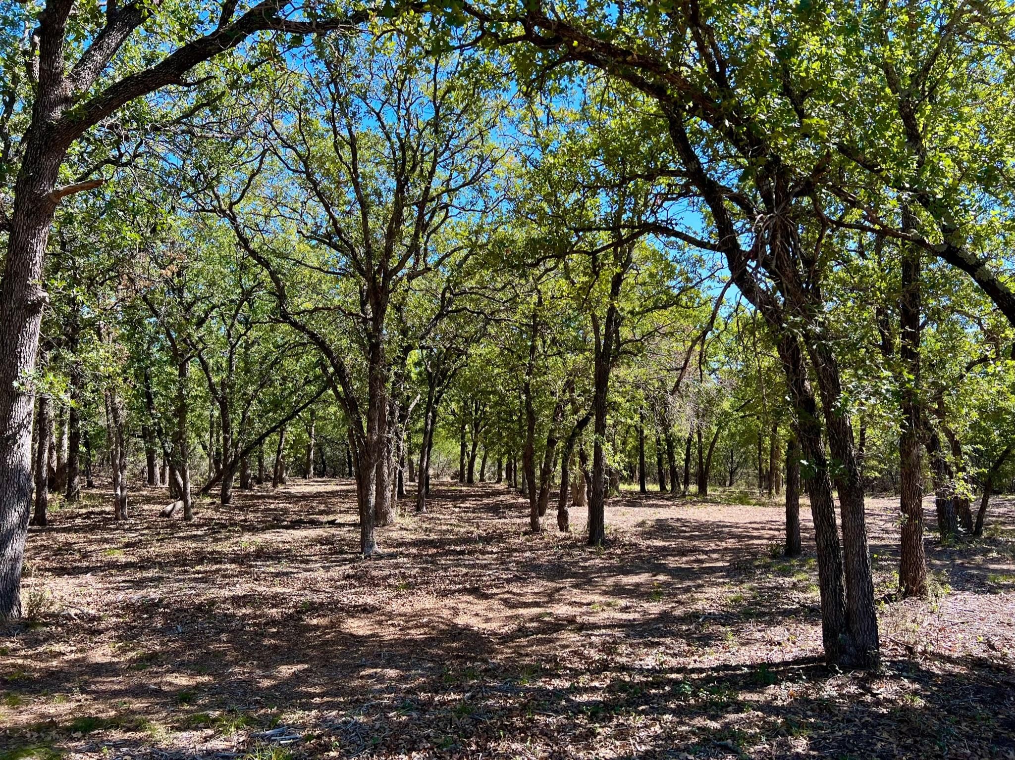 Hico, Bosque County, TX Farms and Ranches, Recreational Property