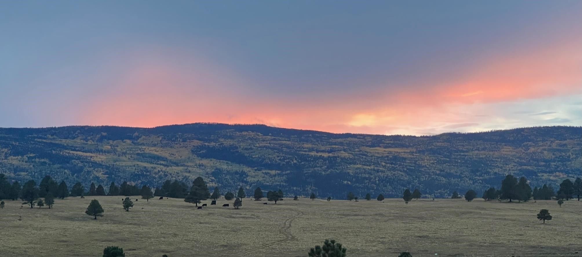 Angel Fire, Colfax County, NM Farms and Ranches for sale Property ID