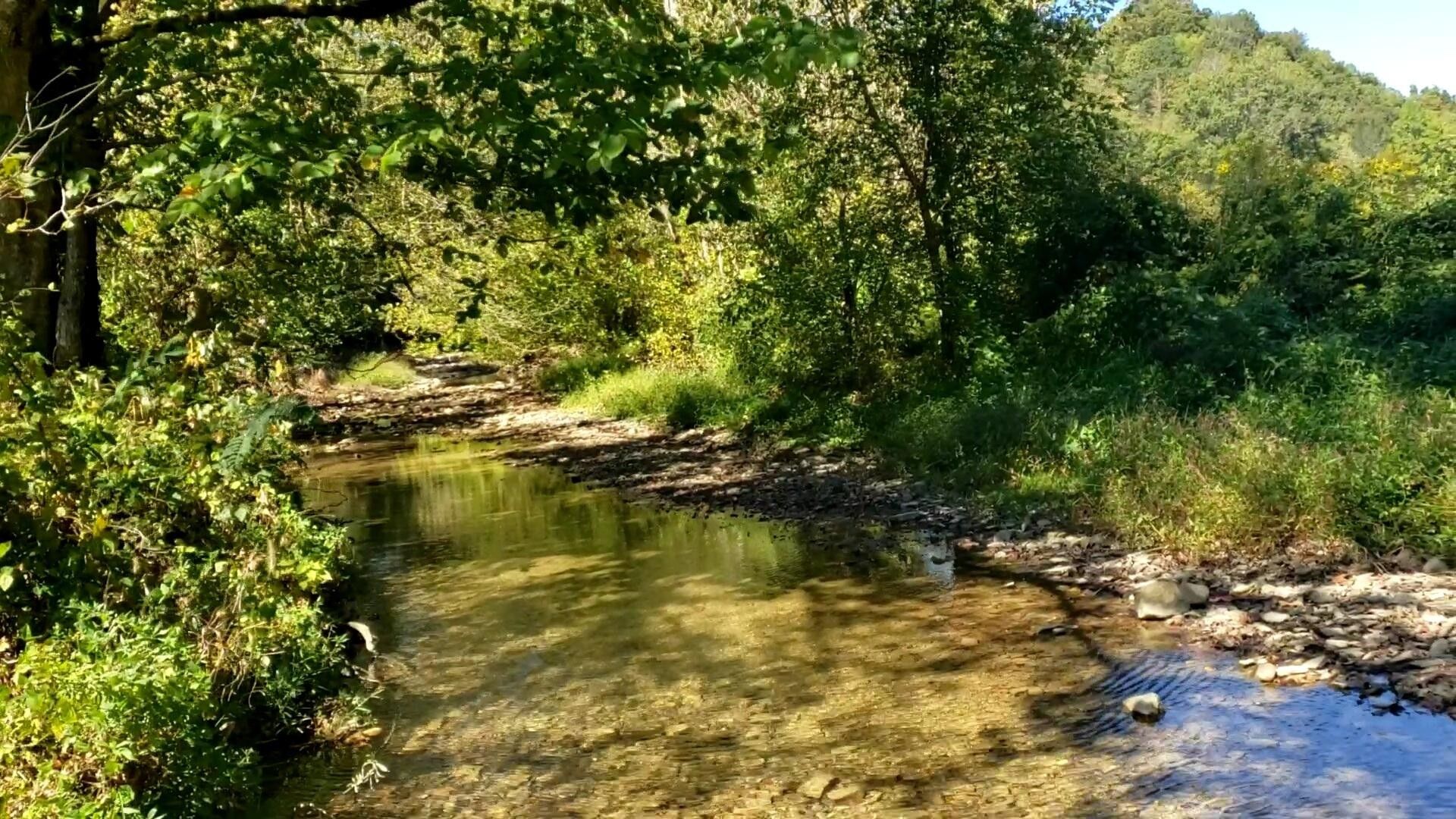 Sneedville, Hancock County, TN Undeveloped Land for sale Property ID