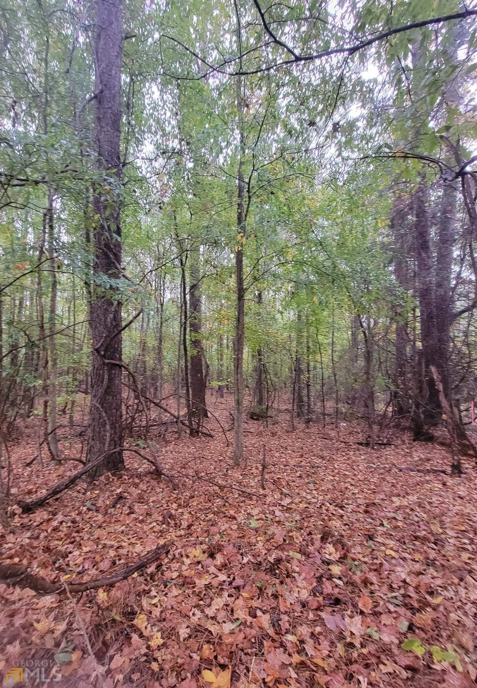 Flovilla, Butts County, GA Farms and Ranches for sale Property ID