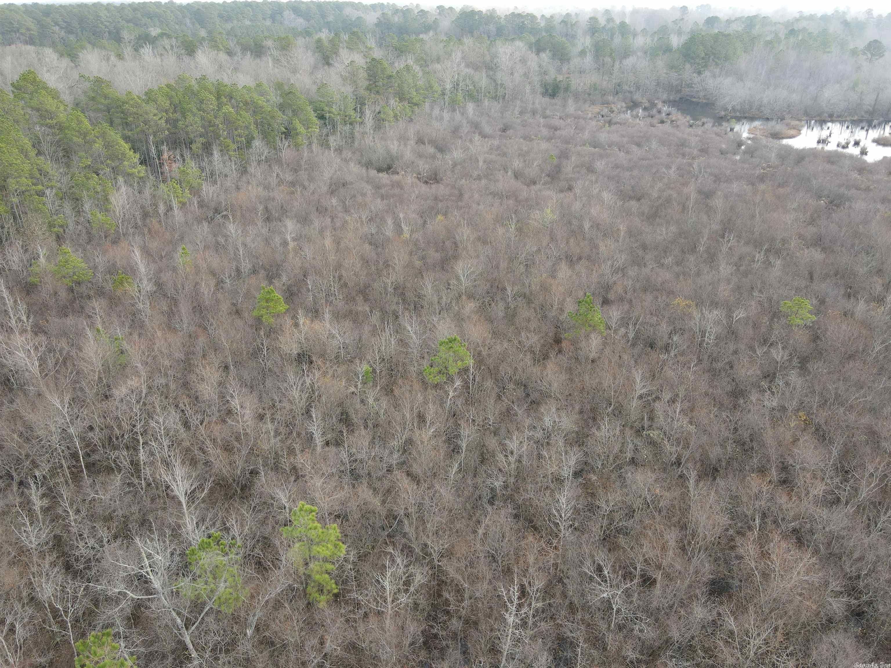 Malvern, Hot Spring County, AR Undeveloped Land, Lakefront Property, Waterfront Property for