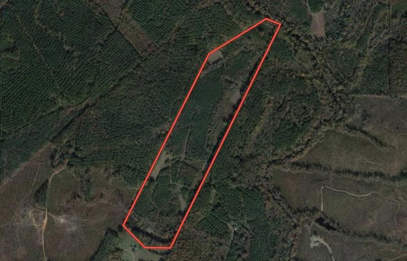 Enfield, Halifax County, NC Recreational Property, Timberland Property