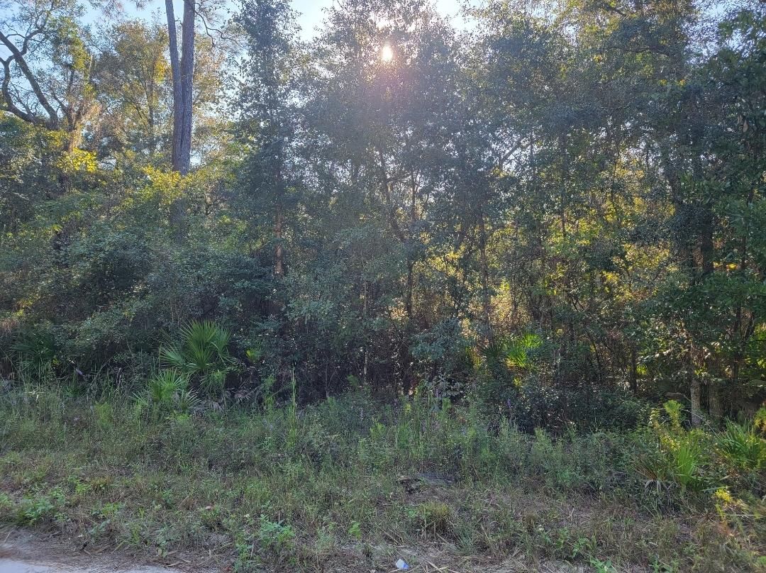 Branford, Lafayette County, FL Homesites for sale Property ID