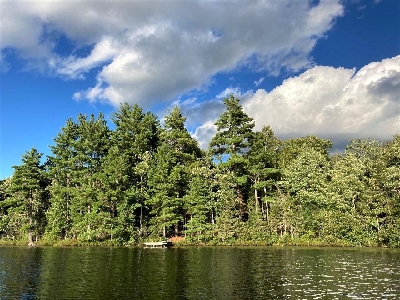 Mercer, Iron County, WI Undeveloped Land, Lakefront Property