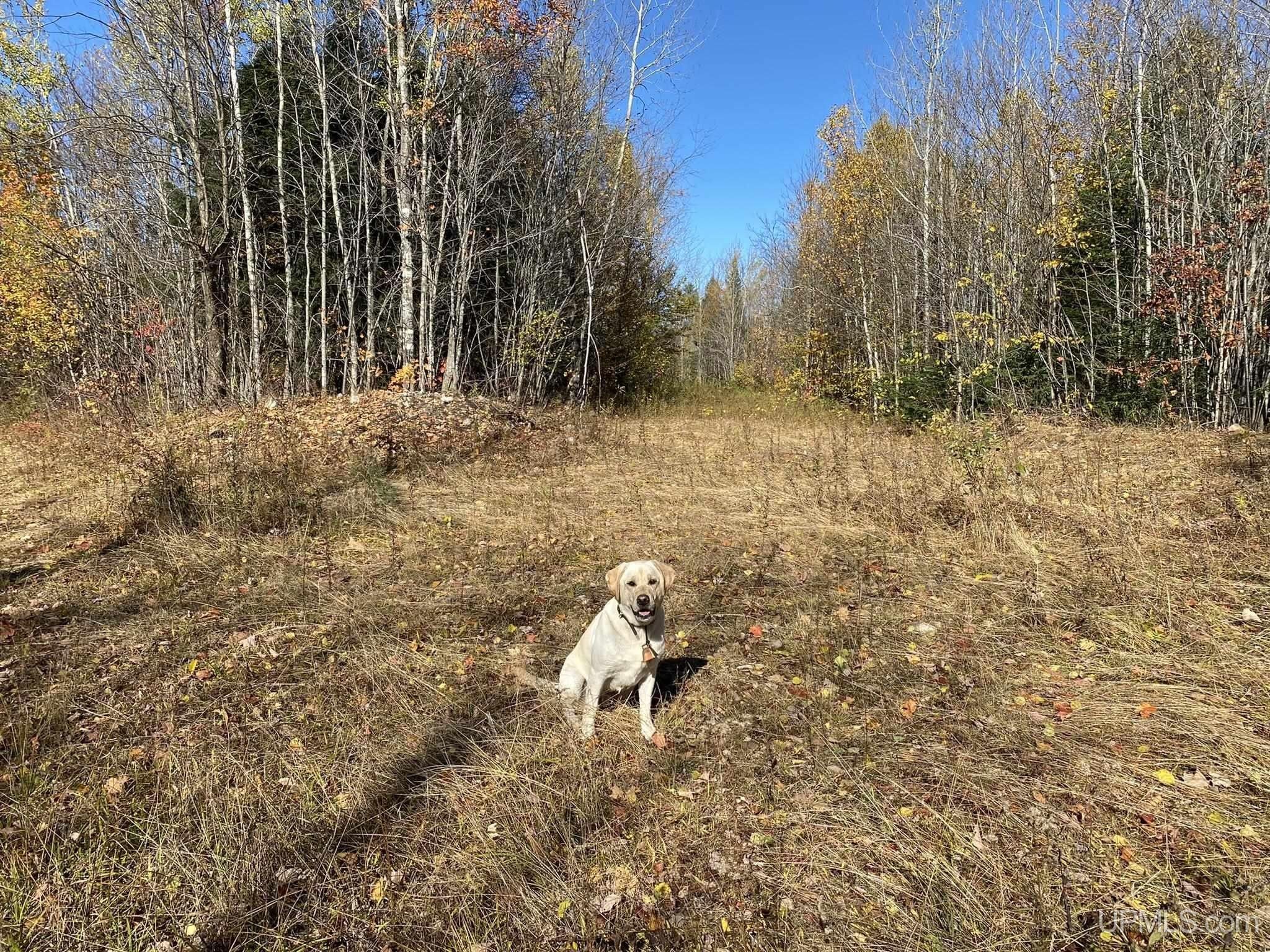 TBD Billie Helmer, Deerton, MI 49822 MLS 50094056 LandWatch